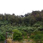 Bay View 萨索斯
